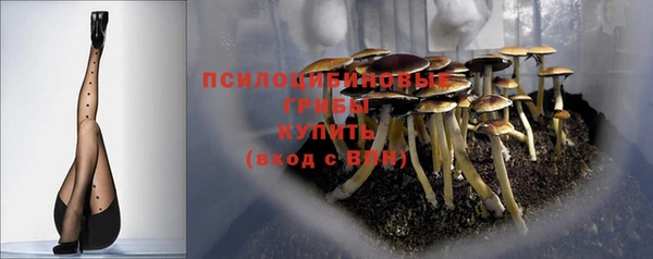 тгк Мегион