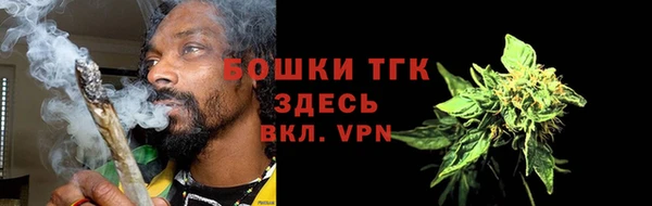тгк Мегион
