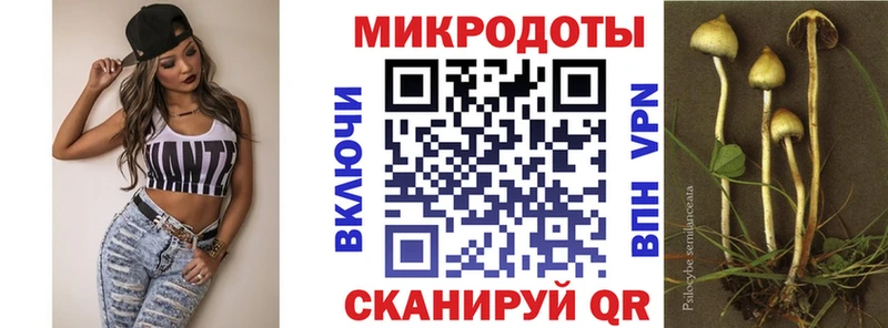 Псилоцибиновые грибы MAGIC MUSHROOMS  магазин продажи наркотиков  Новочеркасск 