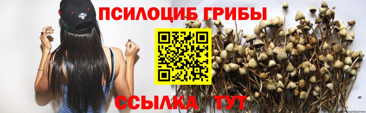 купить   Псилоцибиновые грибы прущие грибы  Вход с VPN  Новочеркасск 